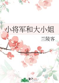小将军和大小姐