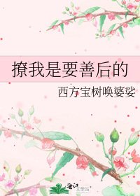 撩我是要善后的
